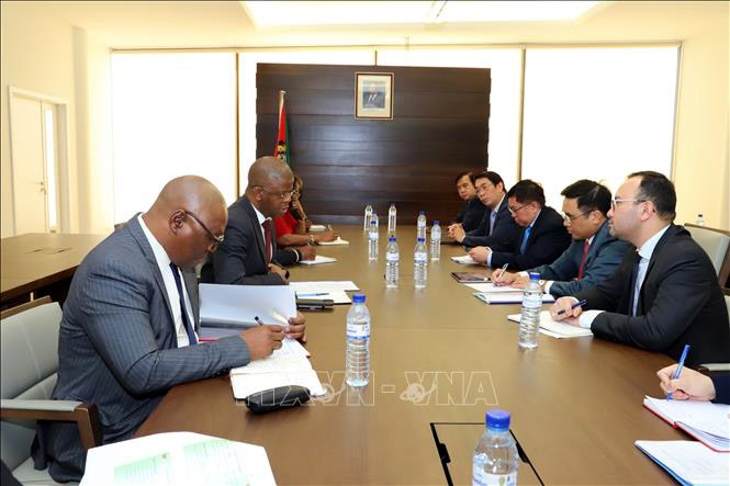 Vietnam, Mozambique boost agriculture cooperation